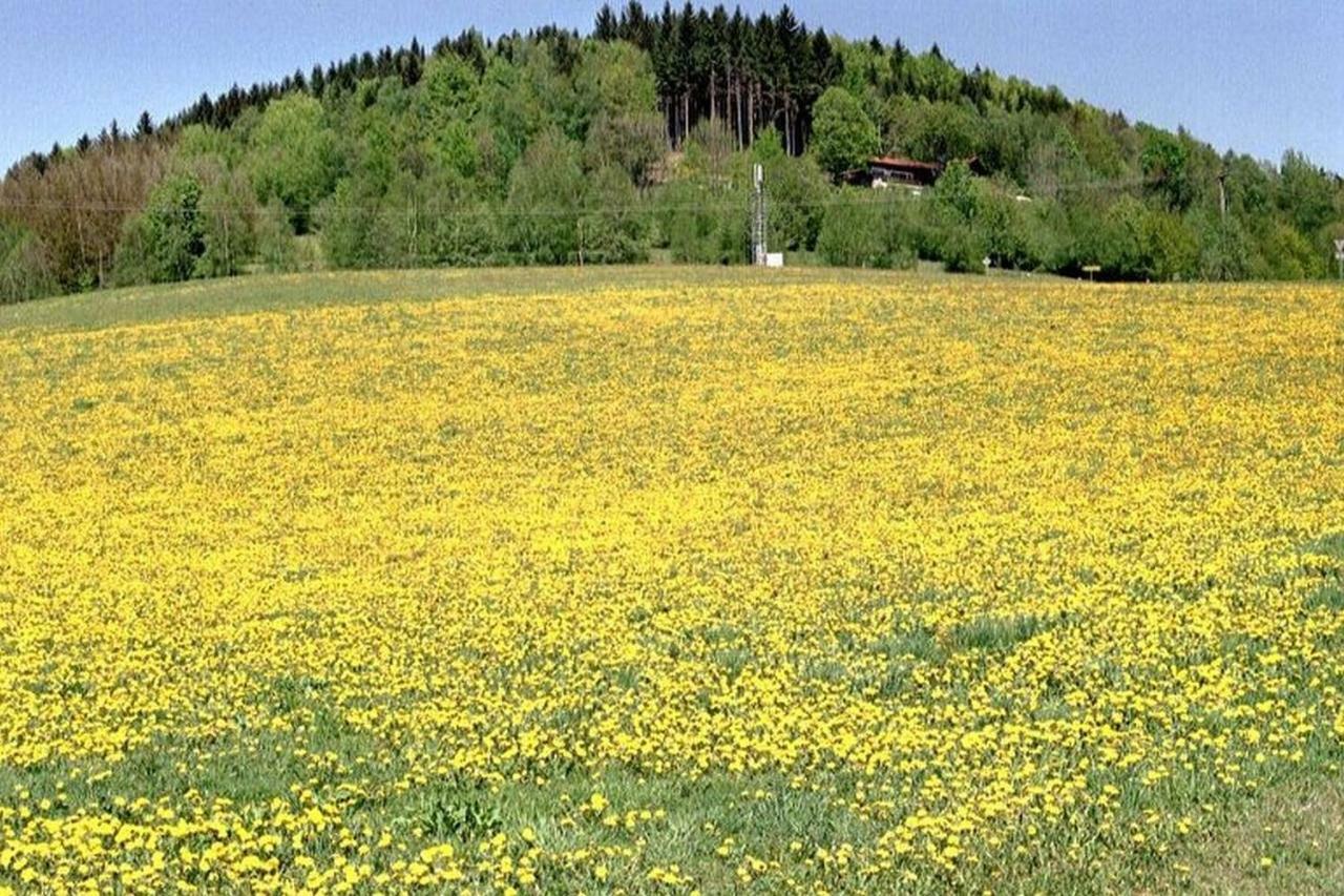 Ferien Vom Ich, Bayerischer Wald, Hotel & Restaurant Neukirchen  Exterior photo