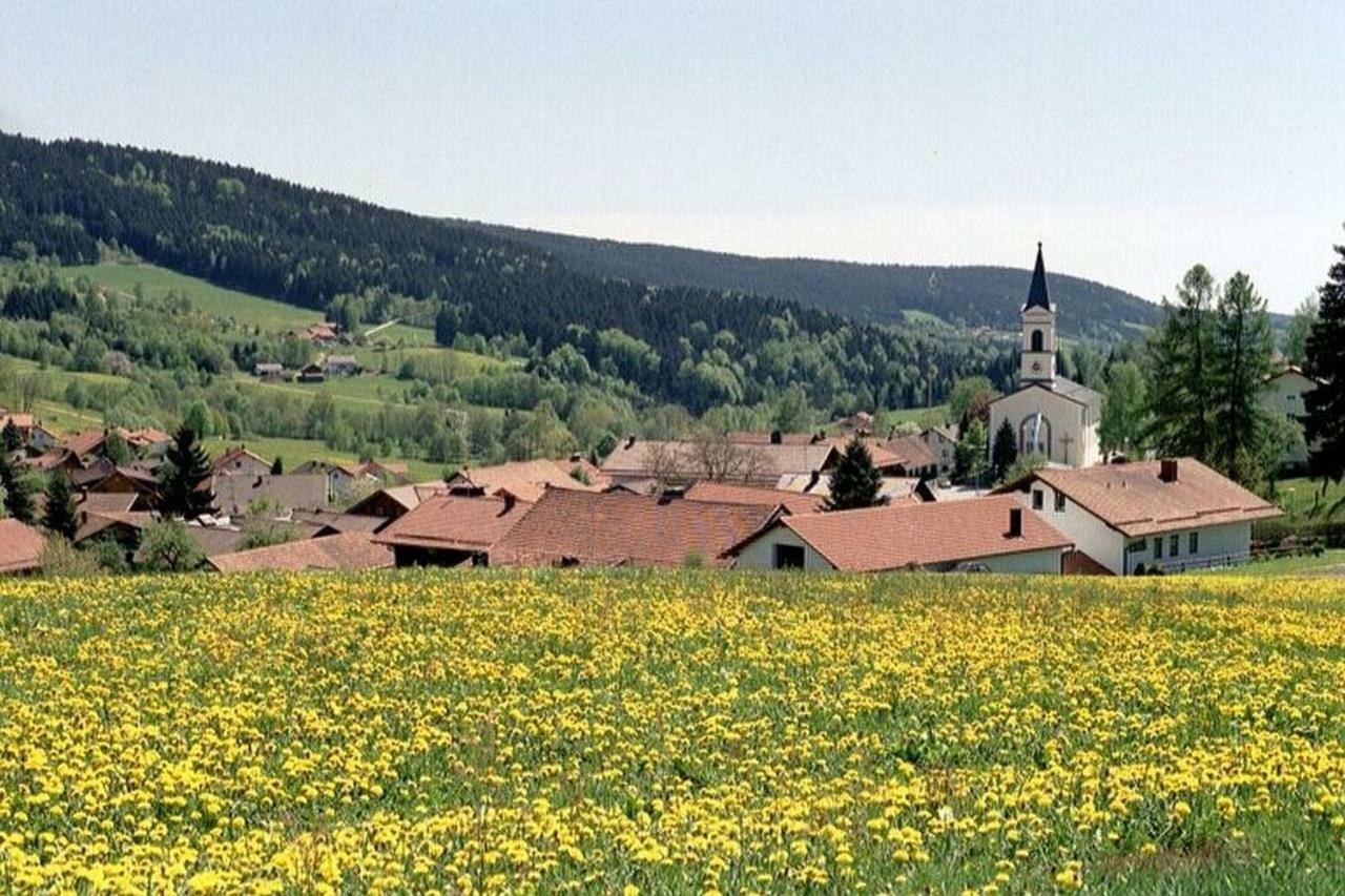 Ferien Vom Ich, Bayerischer Wald, Hotel & Restaurant Neukirchen  Exterior photo